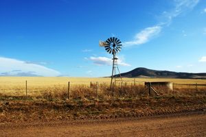 Photo of a dirt country road. 