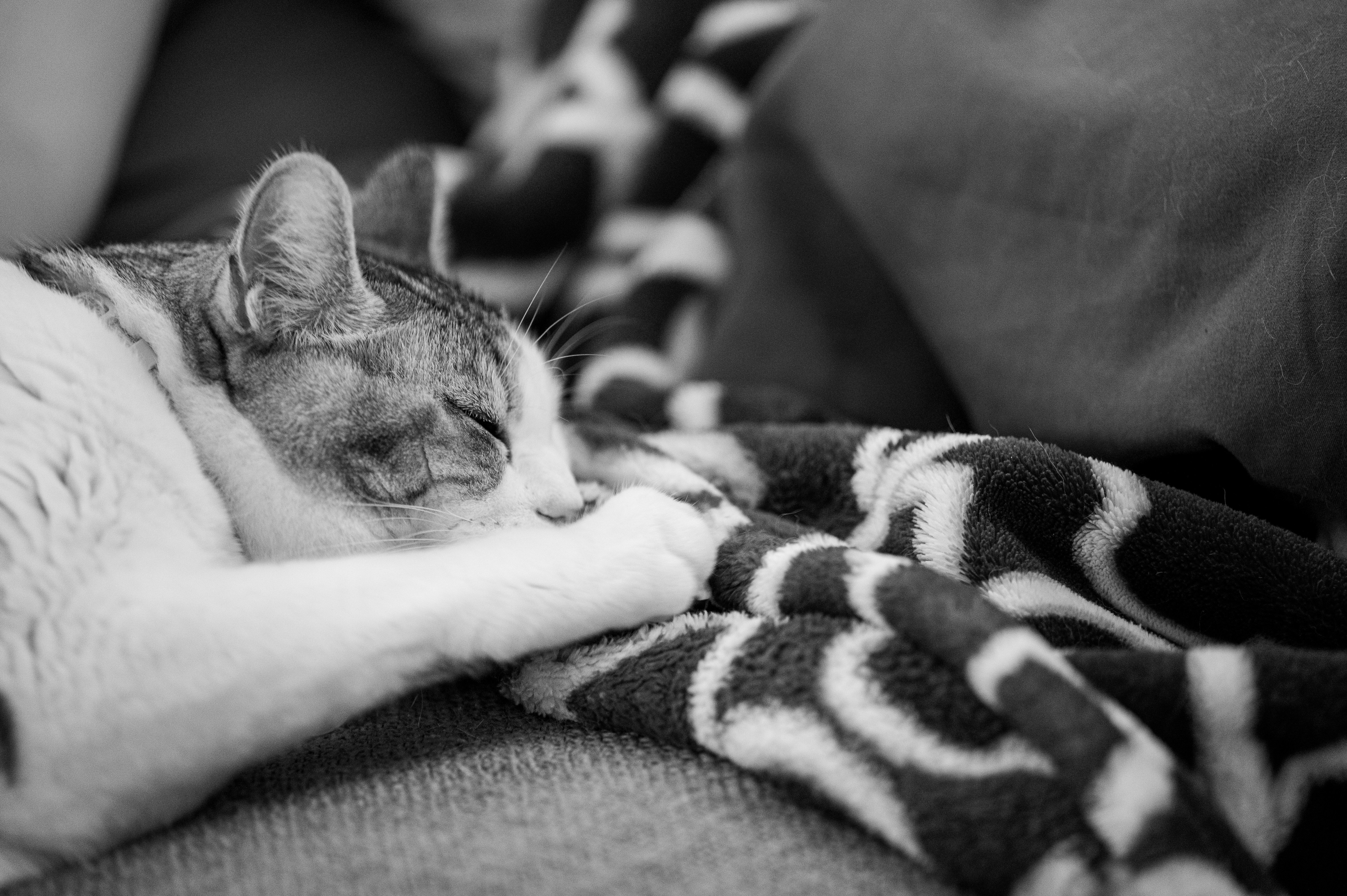 Get Cozy For A Cause