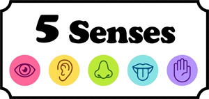 5 Senses Camp | Preschool & Kindergarten