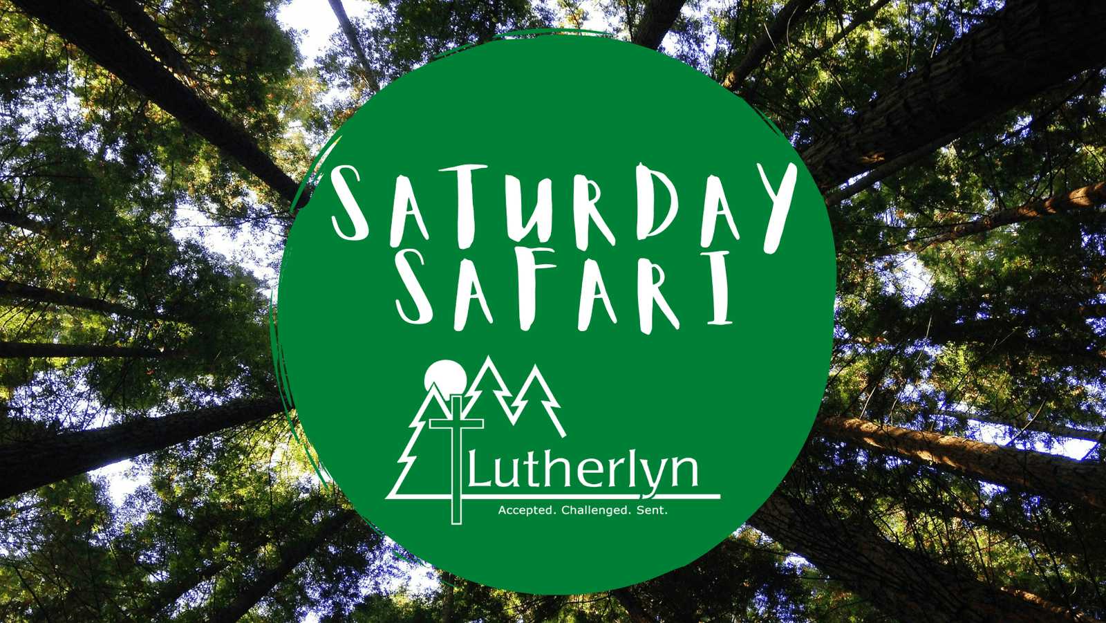 Saturday Safari Logo