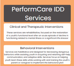 PerformCare IDD Services