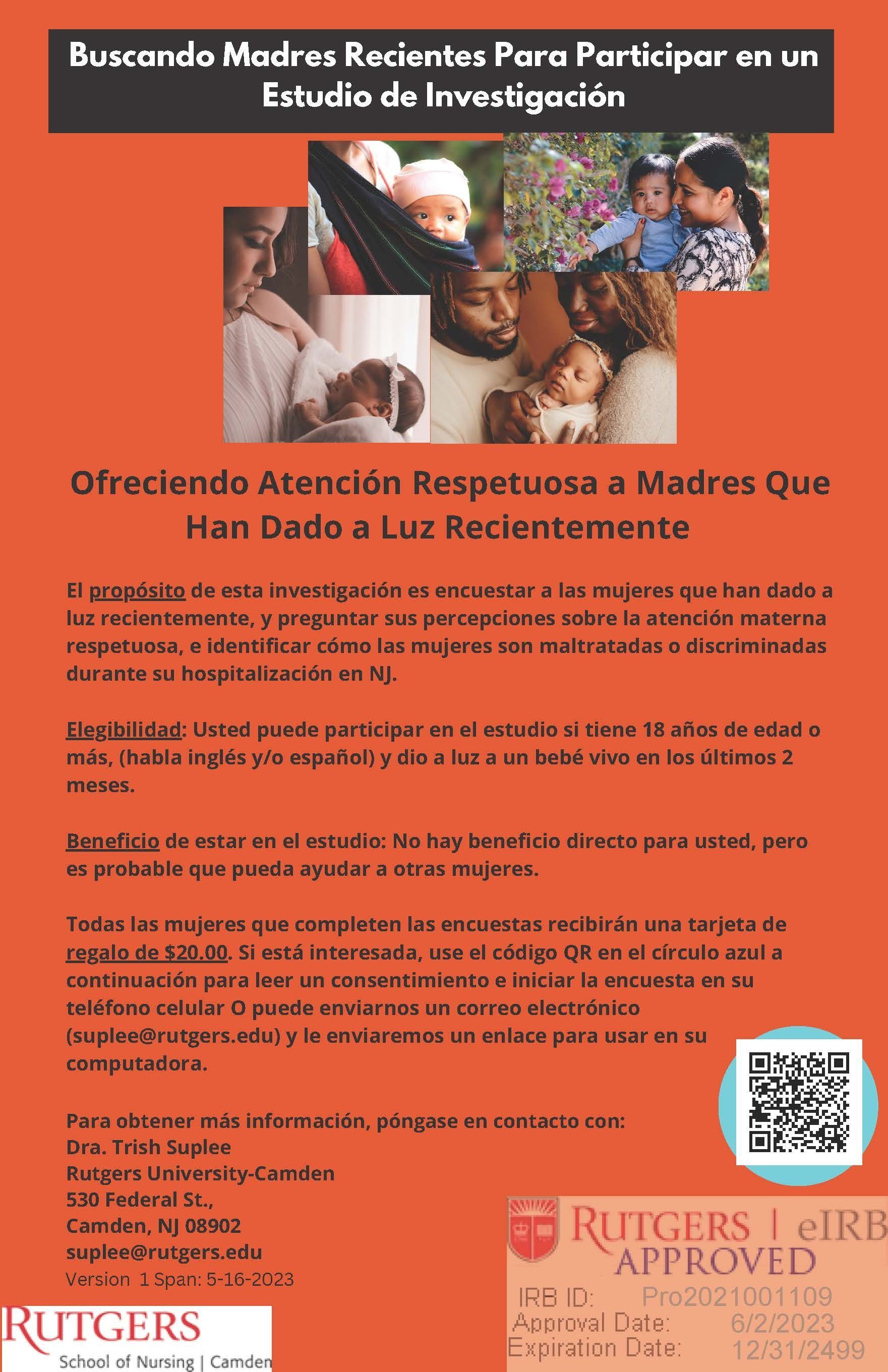Madres Recientes Estudio de Investigacion