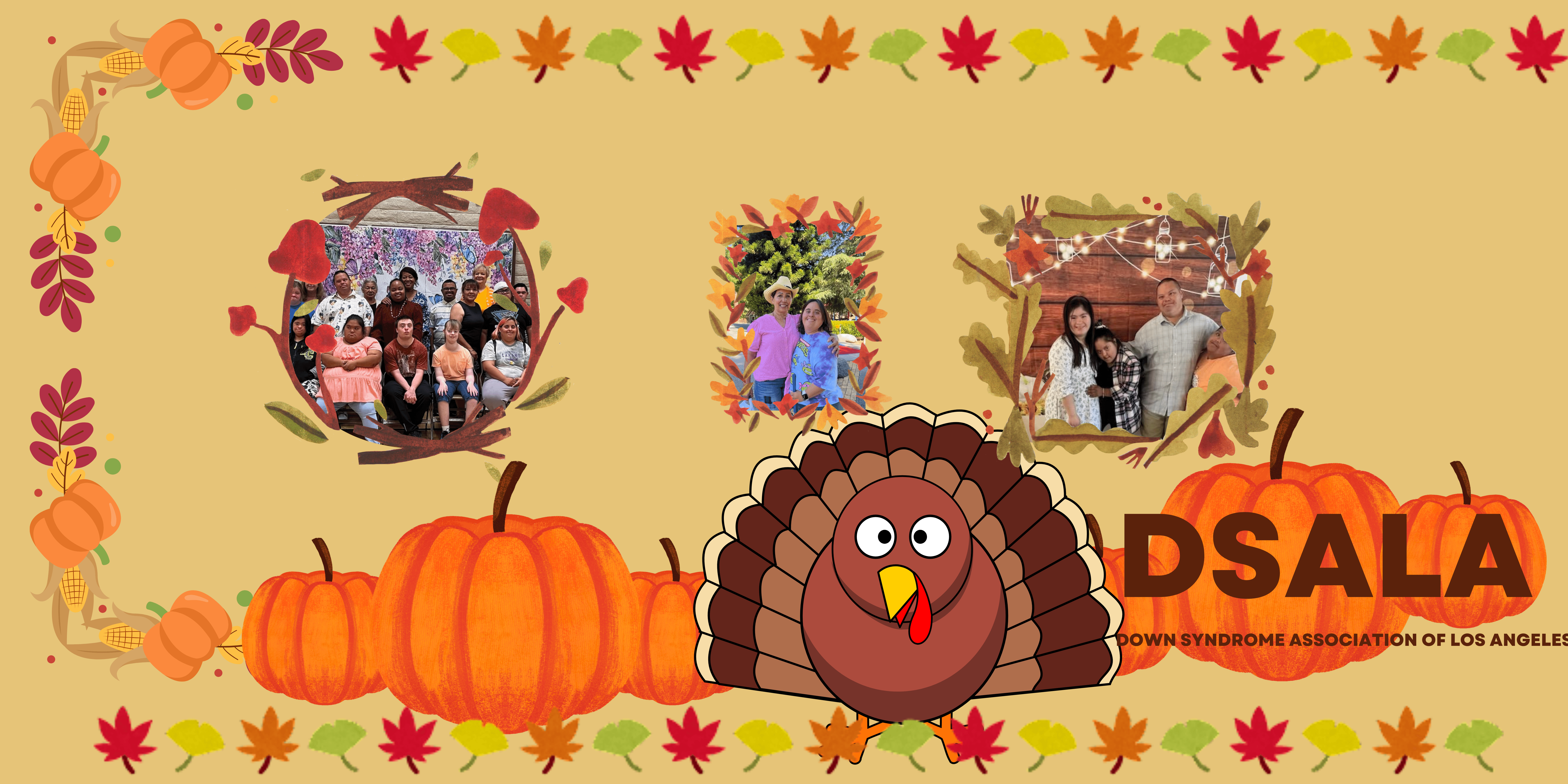 DSALA wishes you a happy and joyful Thanksgiving