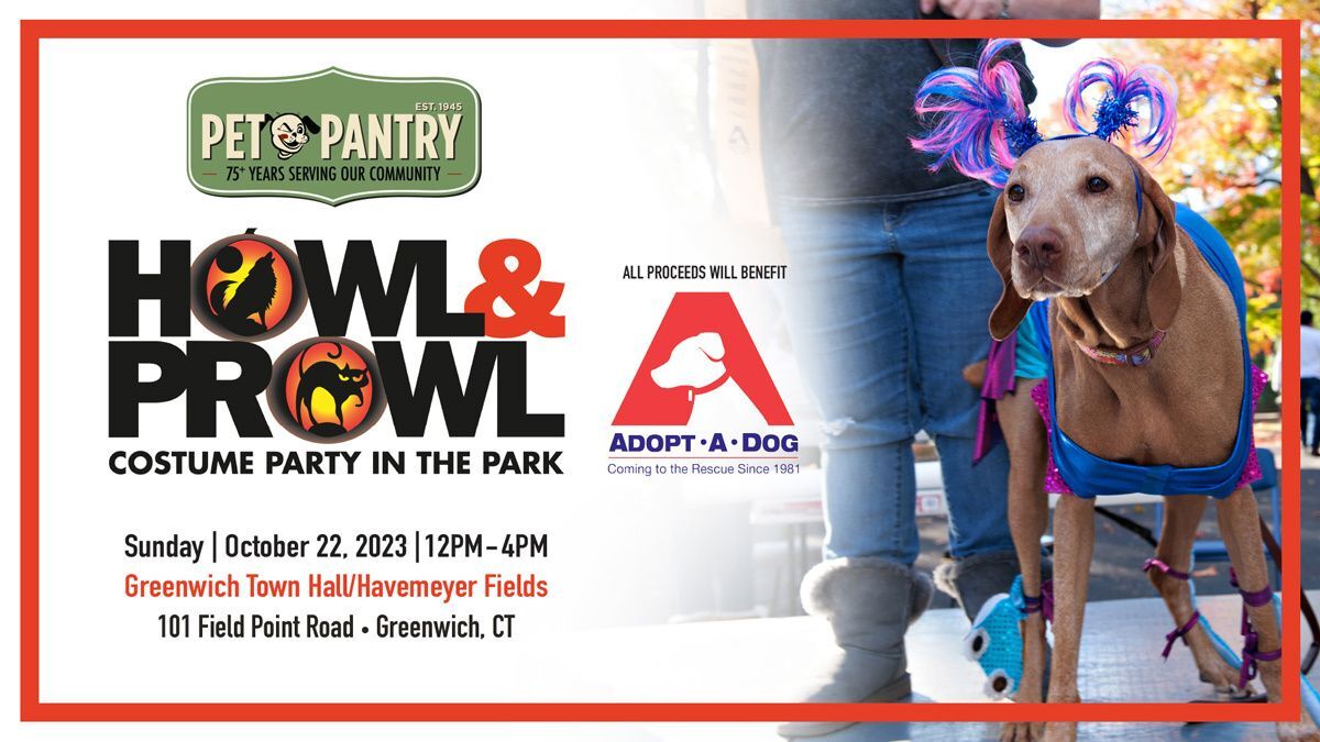 Bark at the Park - Animal Rescue Foundation