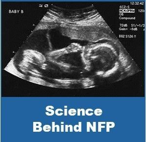 Science behind NFP