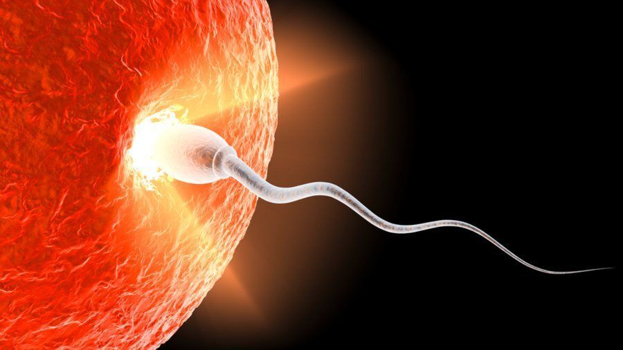 The Facts of Science Prove That Each Human Life Begins at Fertilization