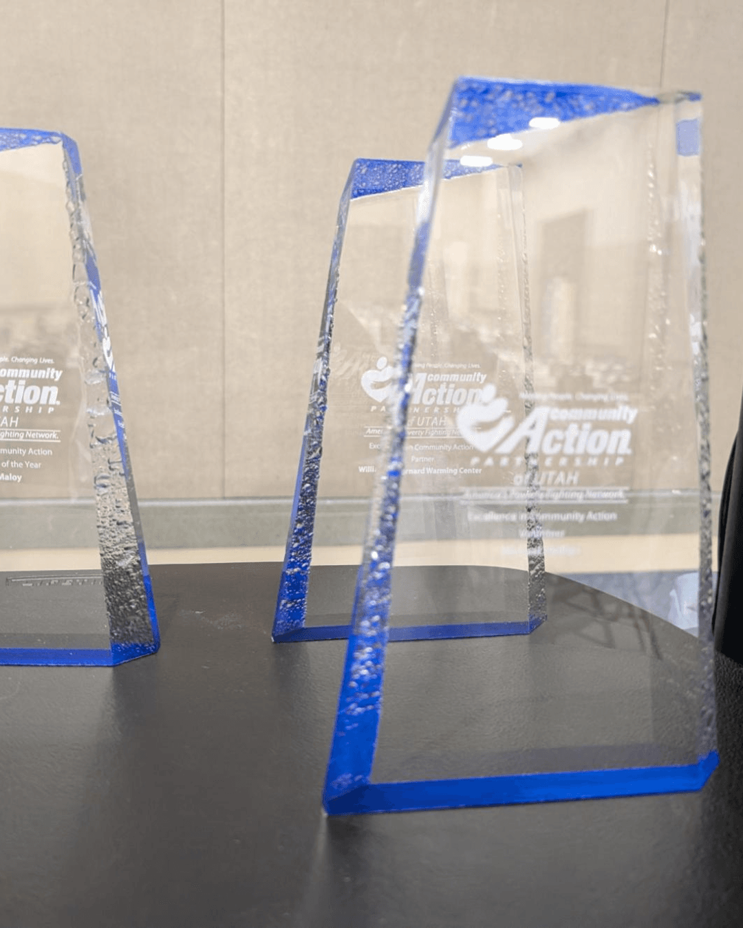 2025 Excellence in Community Action Award Recipients