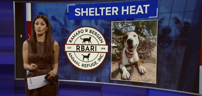 Animal shelter in Oakland, New Jersey receives over $100K in donations to help keep heat on (ABC 7 Eyewitness News)