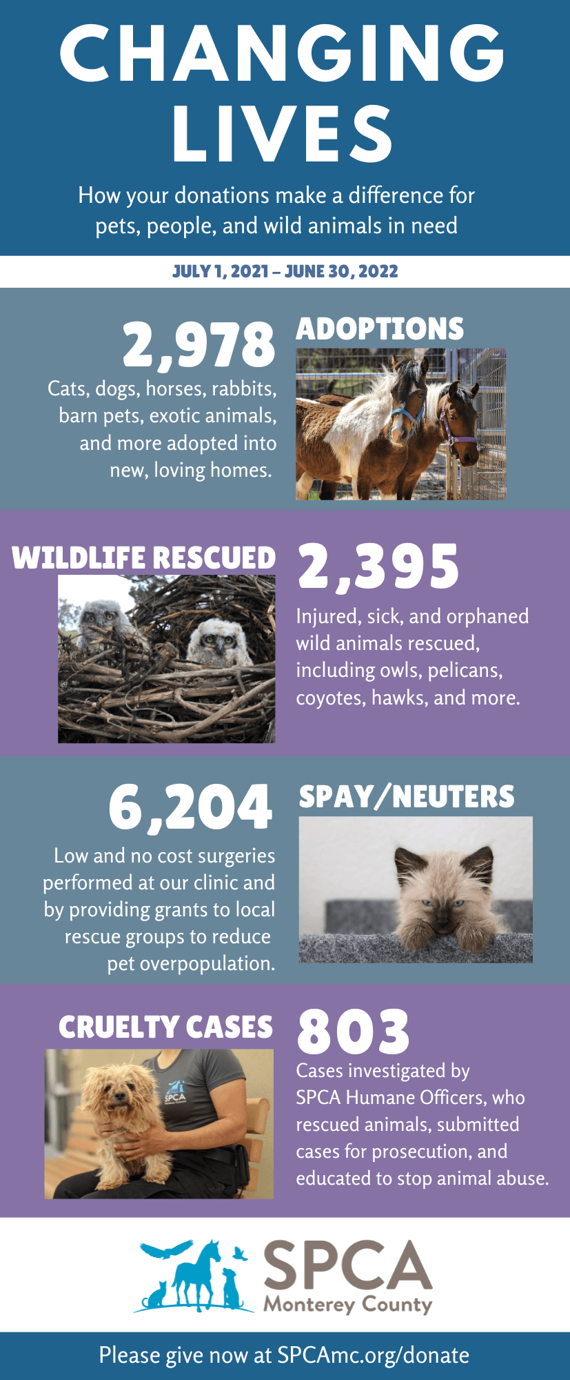 SPCA Impact Report SPCA Impact Report