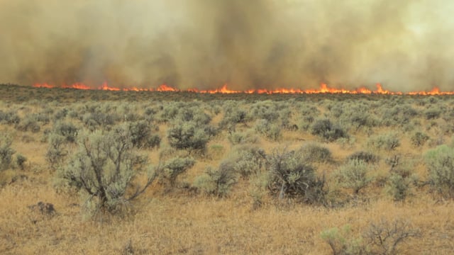 Harney County Wildfire Collaborative Meeting