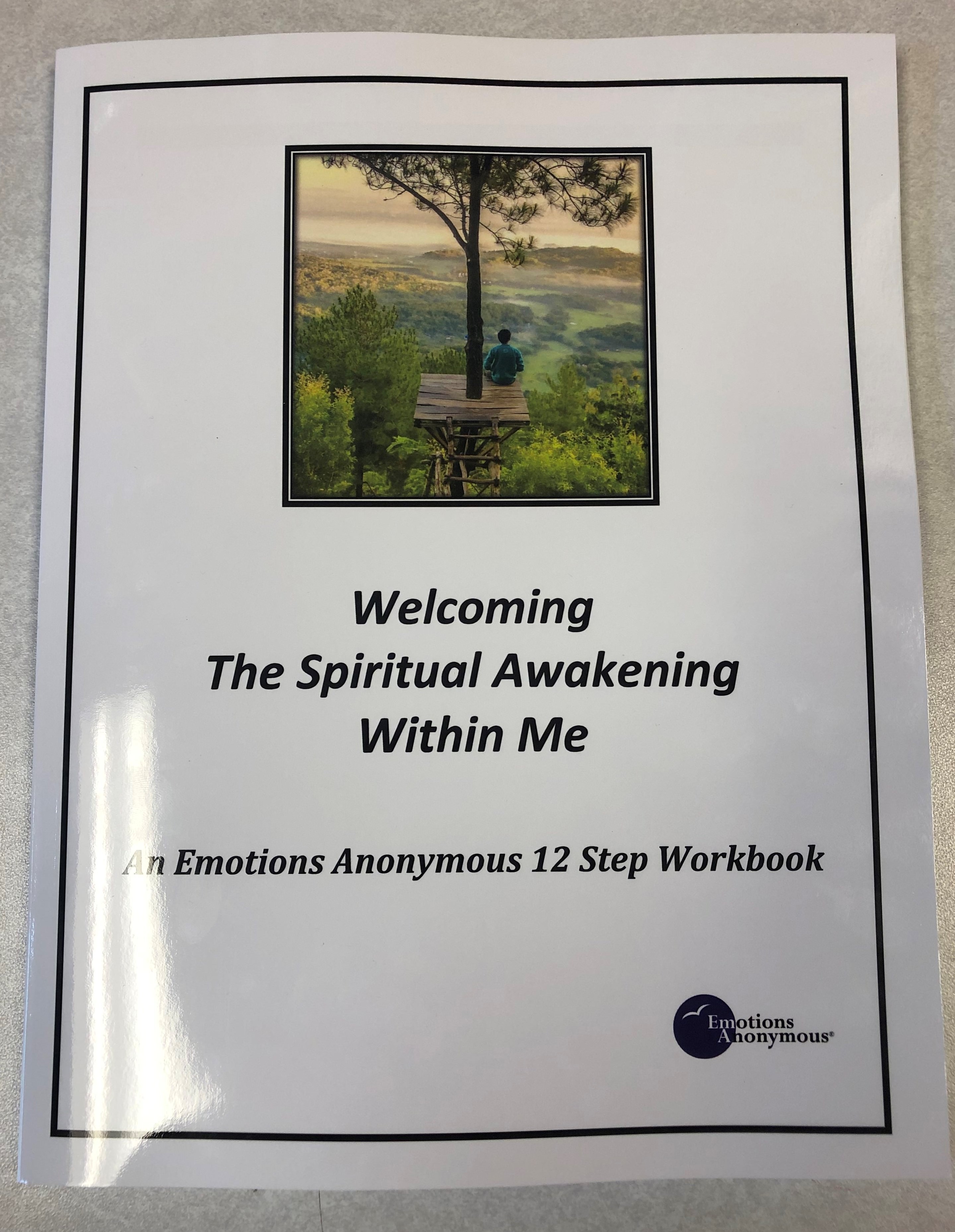 Emotions Anonymous 12 Step Recovery Program - 