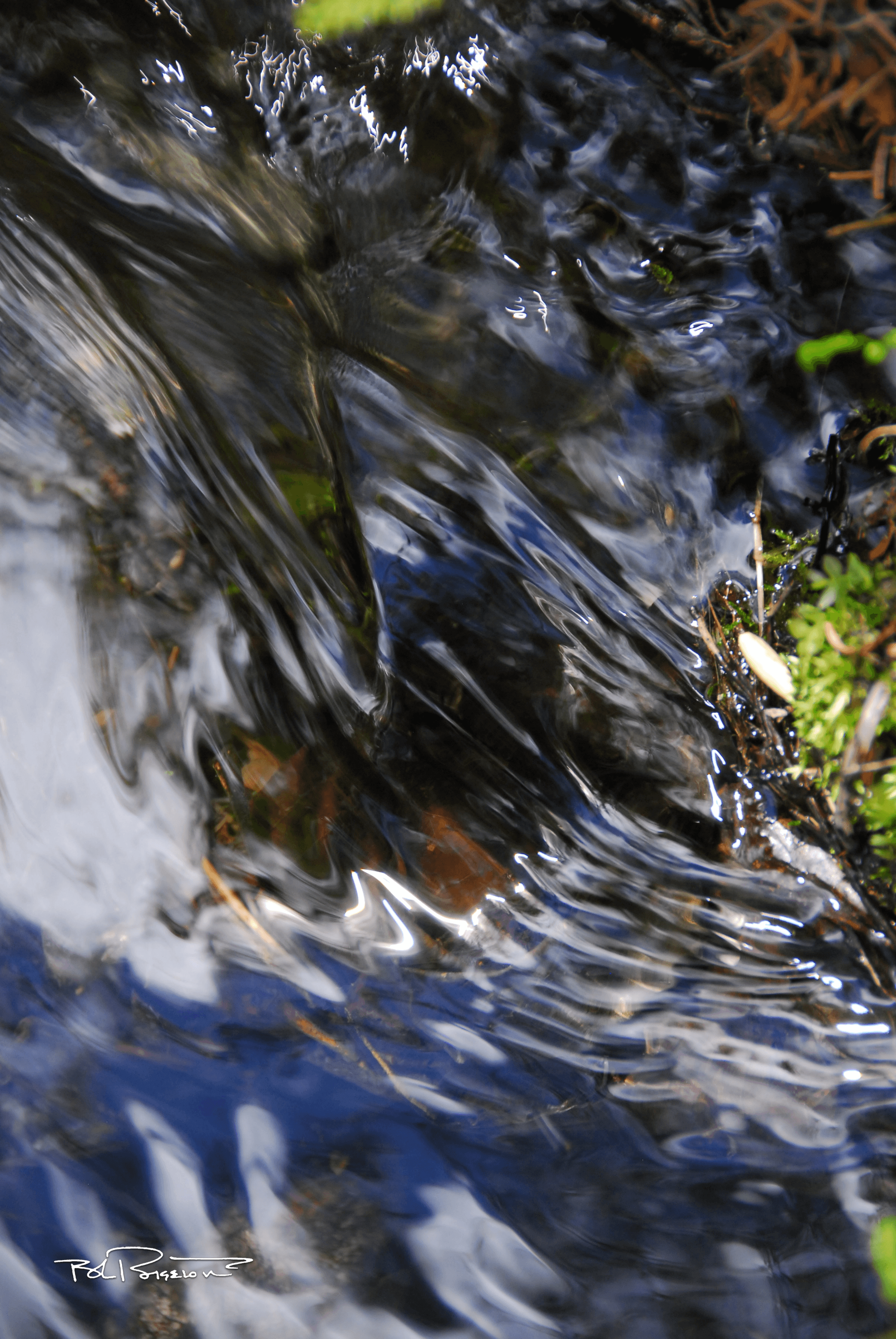 Water Puzzle