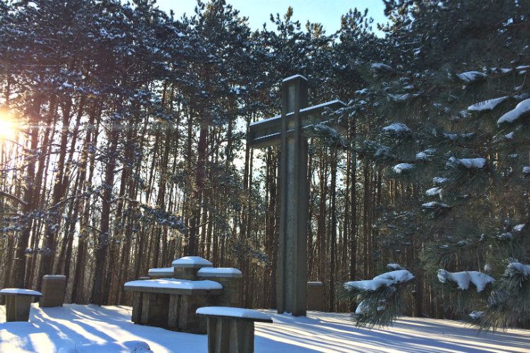Winter Gallery 8