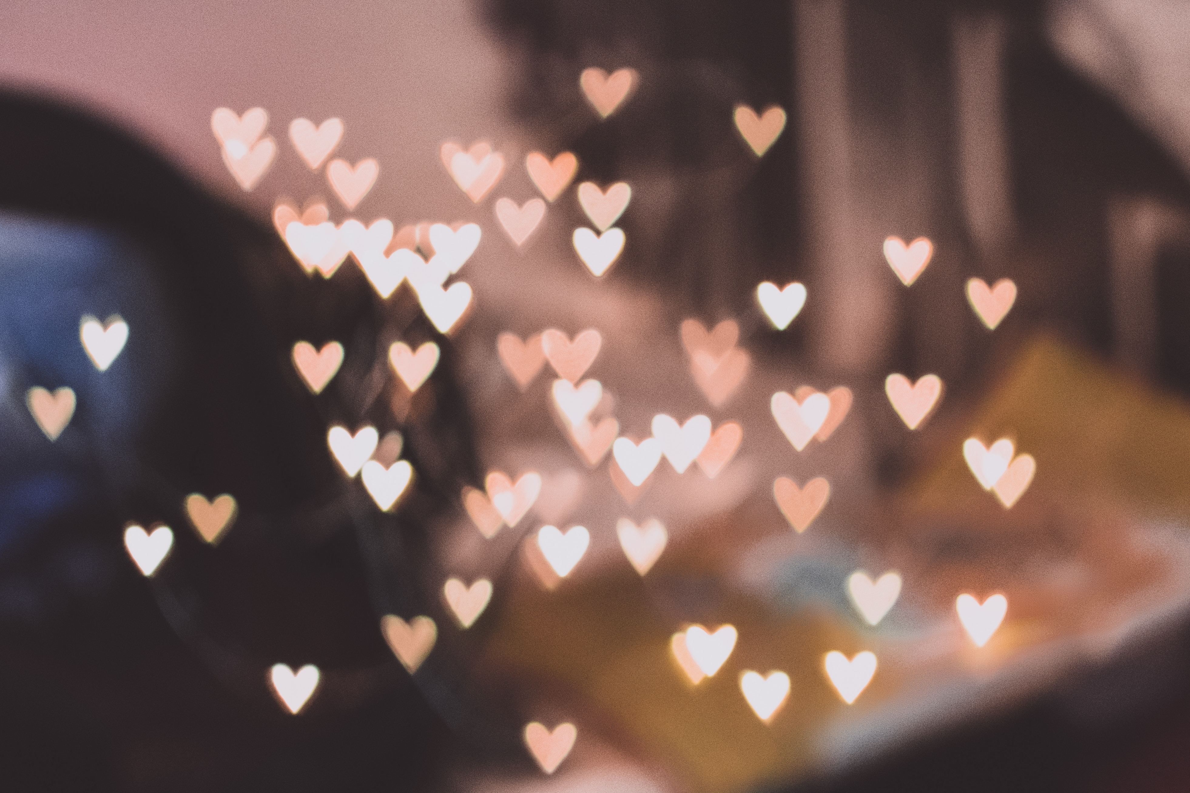 Join us for our annual Valentine's Dinner Fundraiser - Dinner and Live Band