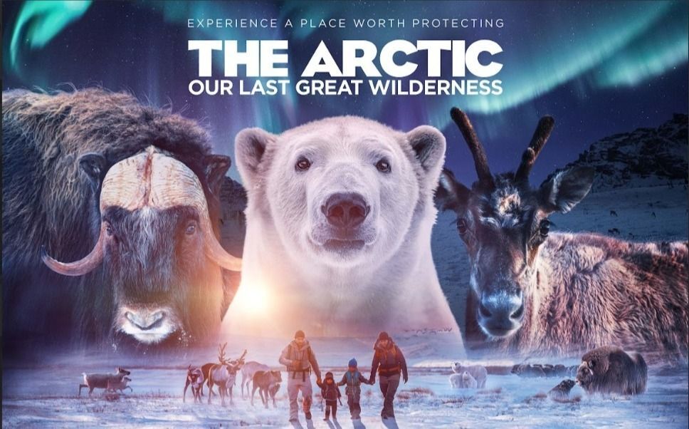 Film poster showing a polar bear, muskox, and caribou looking at the viewer under the northern lights. Underneath them a family of 4 with 2 small children walk in modern winter clothes through a snowy landscape. 