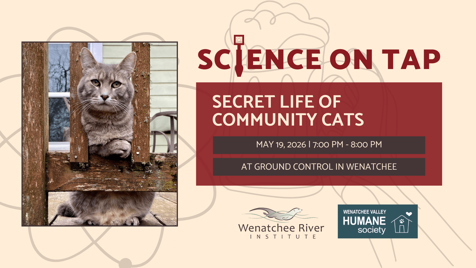 Graphic reading "Science on Tap" and the event title, location, and date, and logos for WRI and the Humane Society. Photo of a gray tabby cat peeking through a fence with alert green eyes and folded paws. The cat sits on the wooden porch of a green home. 