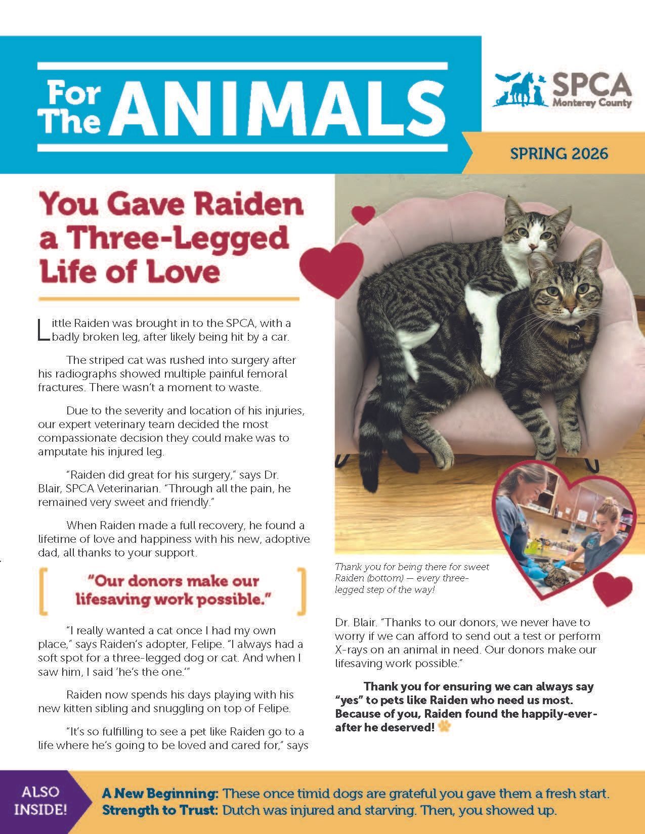 Spring 2026 SPCA Newsletter