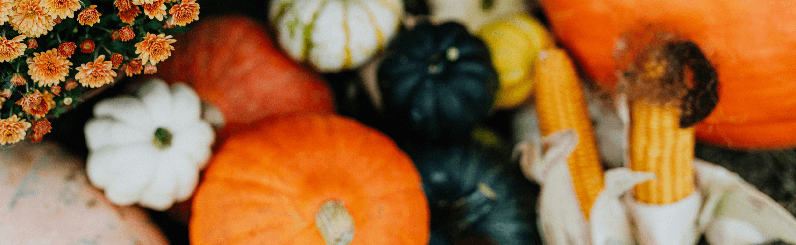 First Steps Family Friendsgiving