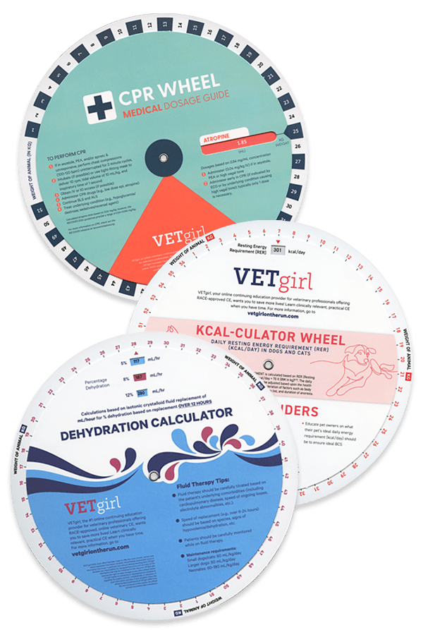 Veterinarian Training Wheel Chart
