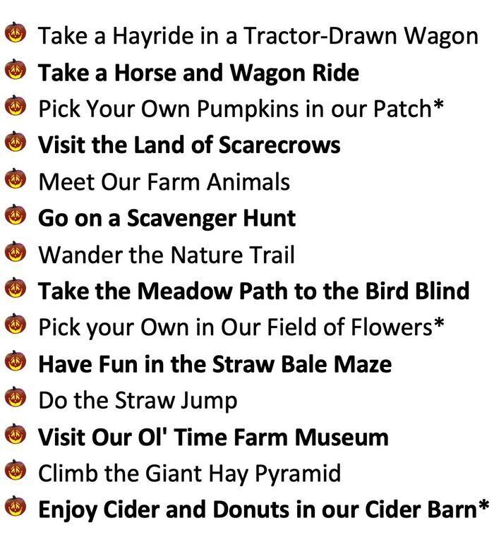 A list of things you can do at the Fall Festival:  Take a Hayride in a Tractor-Drawn Wagon Take a Horse and Wagon Ride Pick Your Own Pumpkins in our Patch* Visit the Land of Scarecrows Meet Our Farm Animals Go on a Scavenger Hunt Wander the Nature Trail T