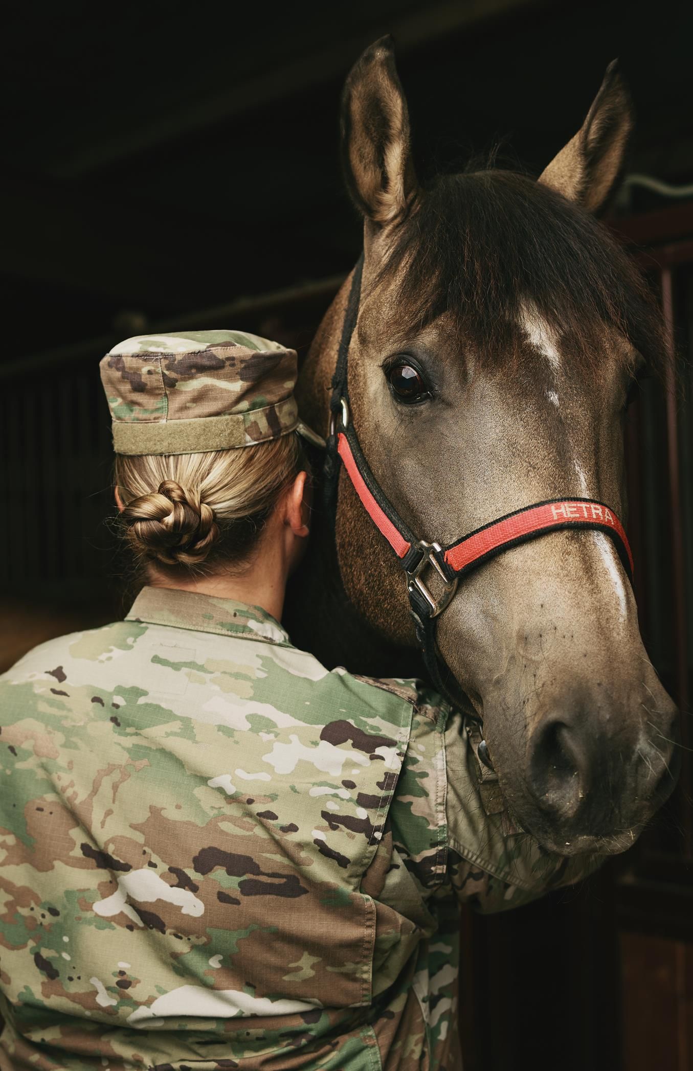 Equine Services For Veterans and First Responders