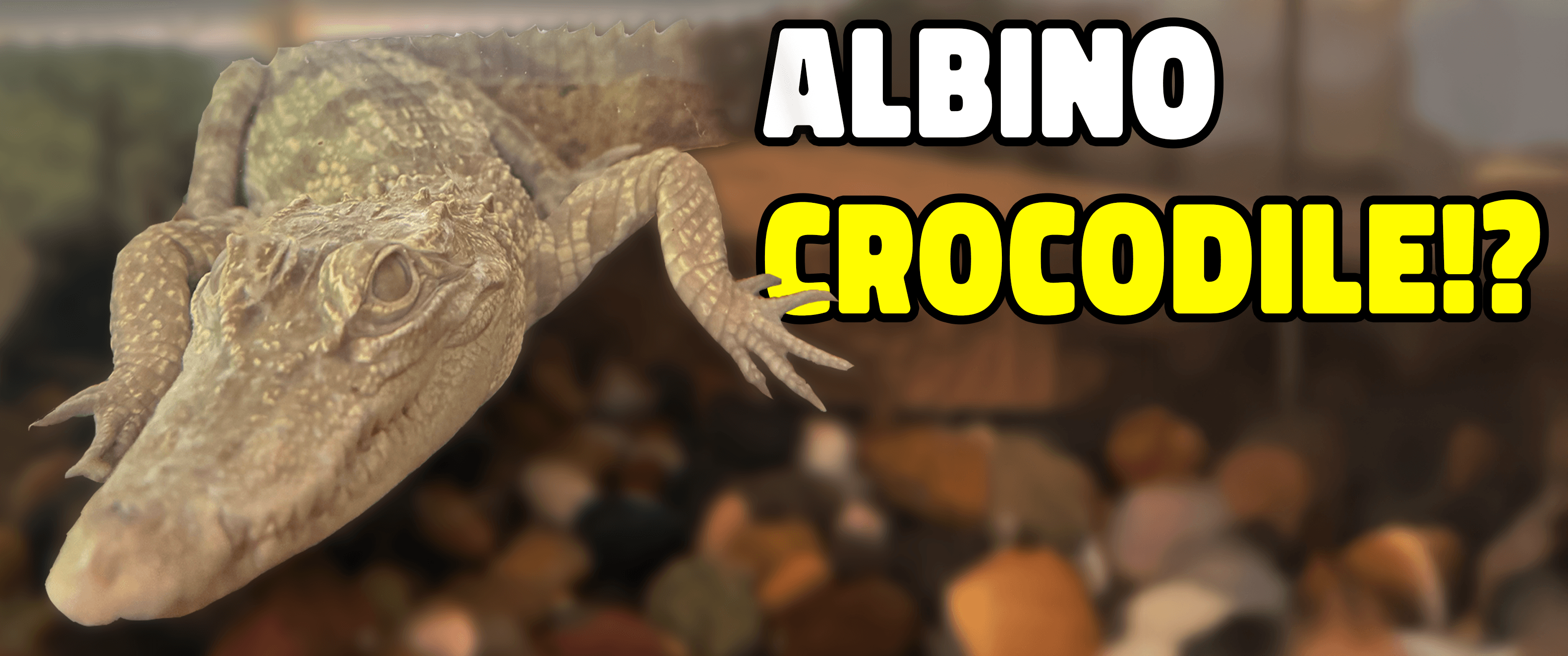 New Video on YouTube!