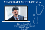 Xenograft Model of KLA 