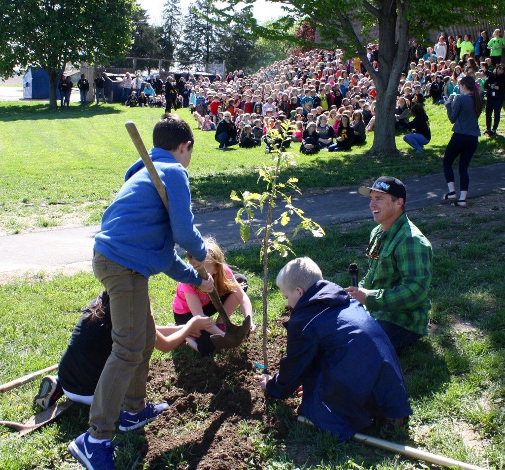 The millionth tree!