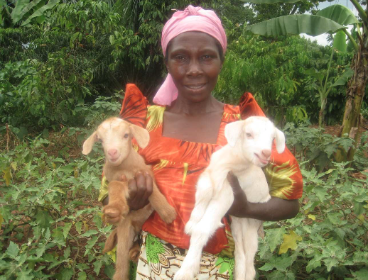 rebecca holding baby goats