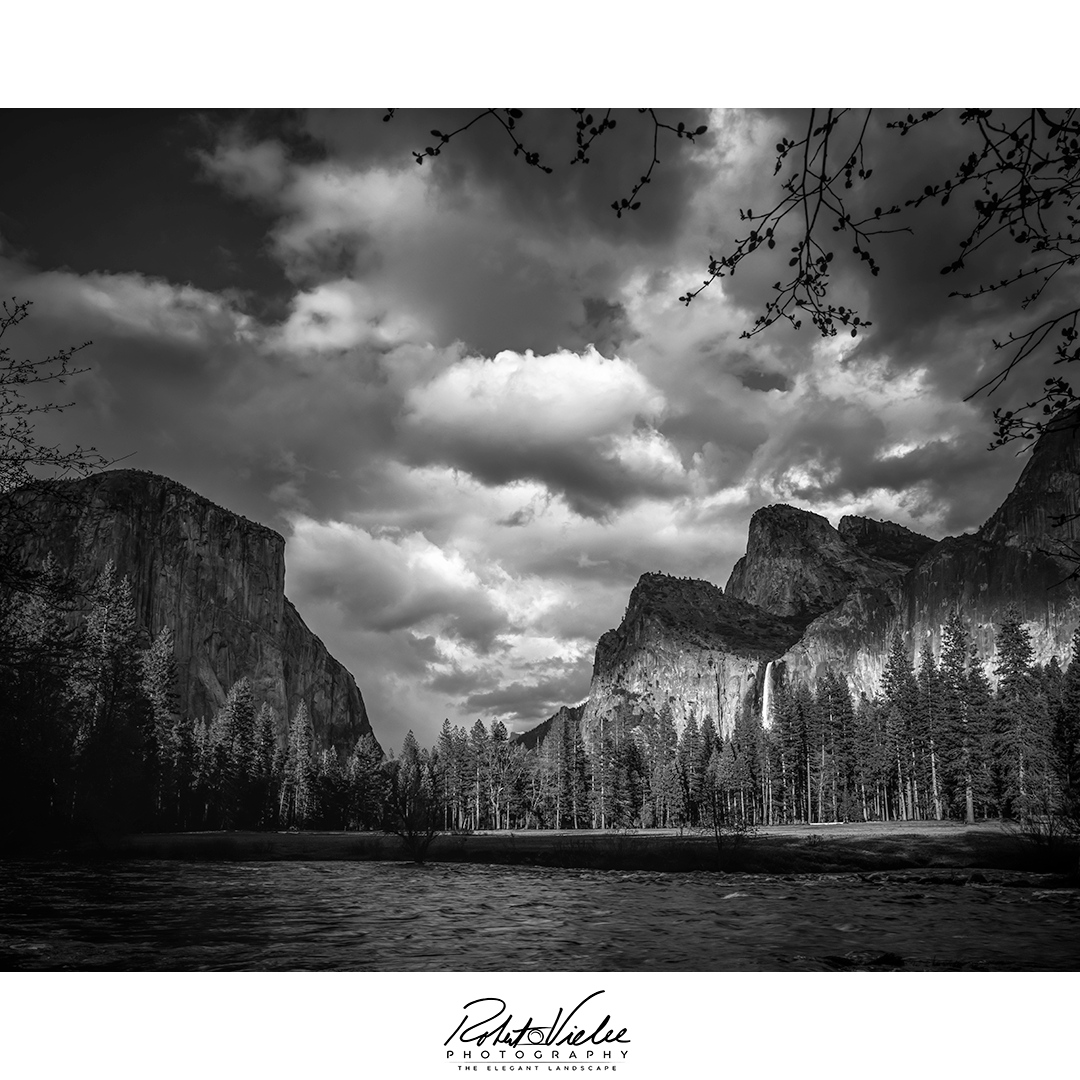 Robert Vielee Photography