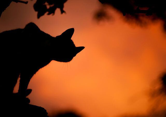 13 Spooky Good October Marketing Ideas