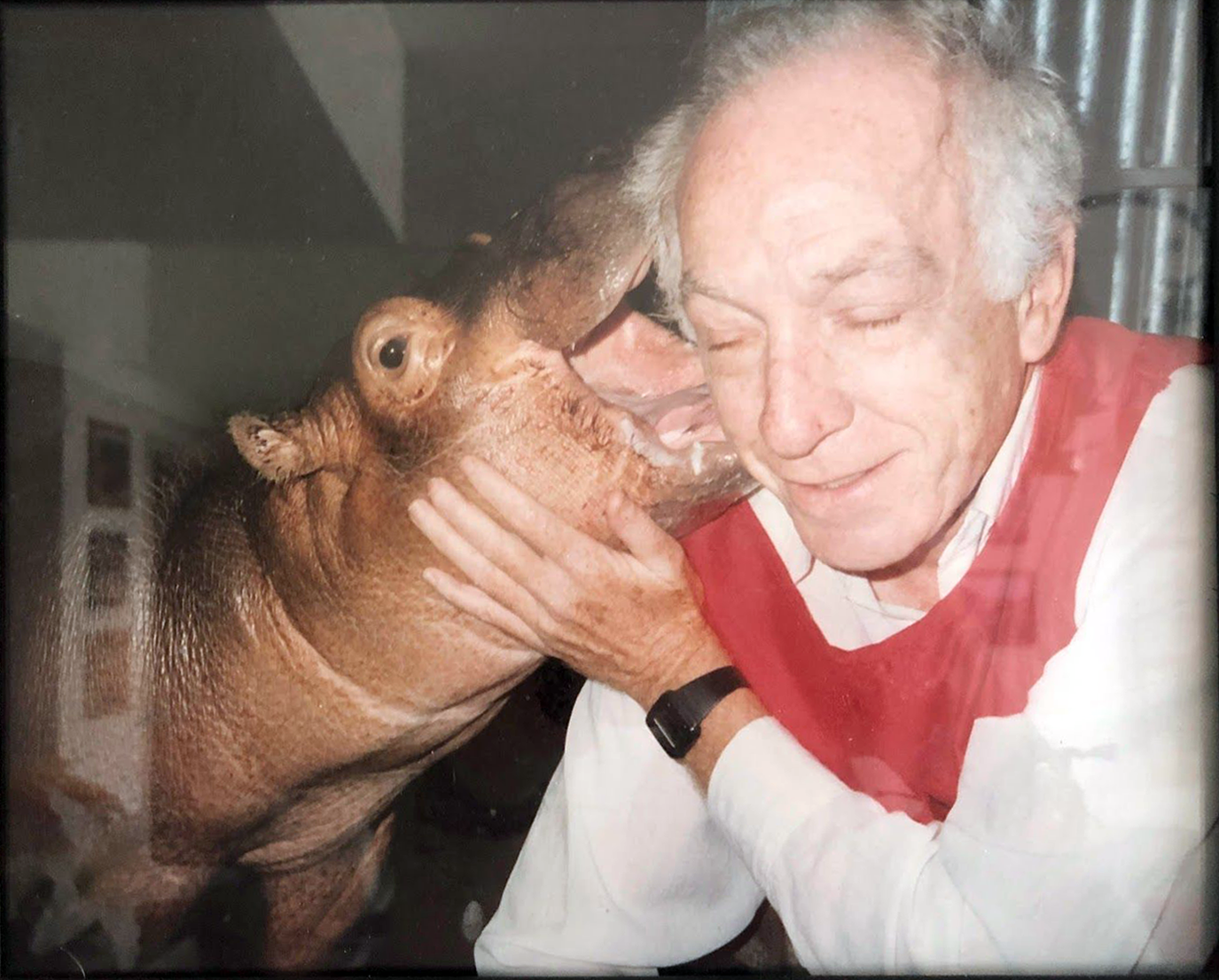 Abe Schwartz at the Bronx Zoo with the baby hippo