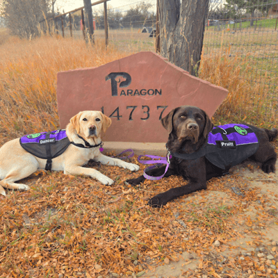 Paragon Press - November 2025