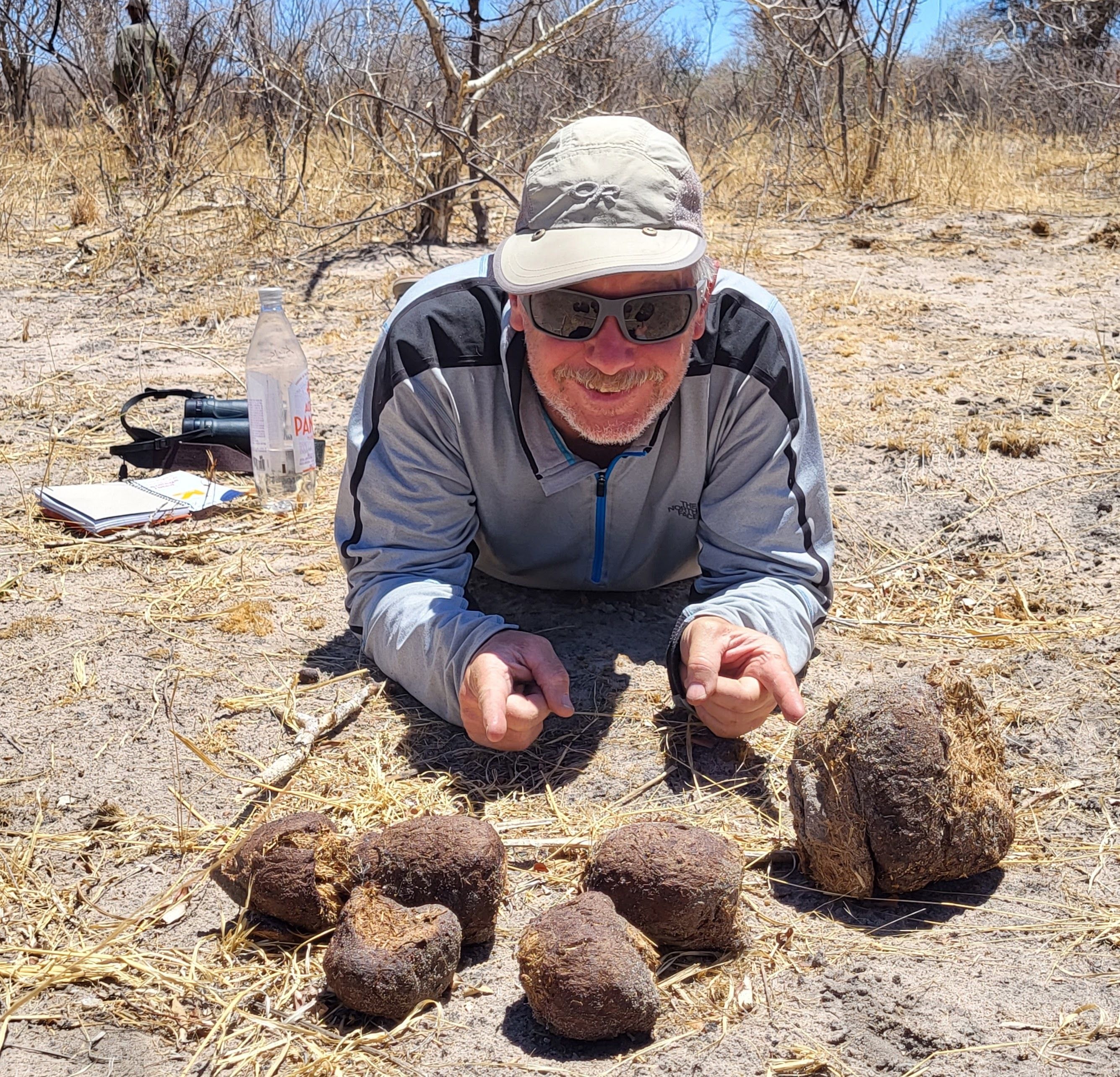 A man in a baseball cap lies on the ground amongst dry grass and bushes, pointing at several fist-sized lumps of elephant poop