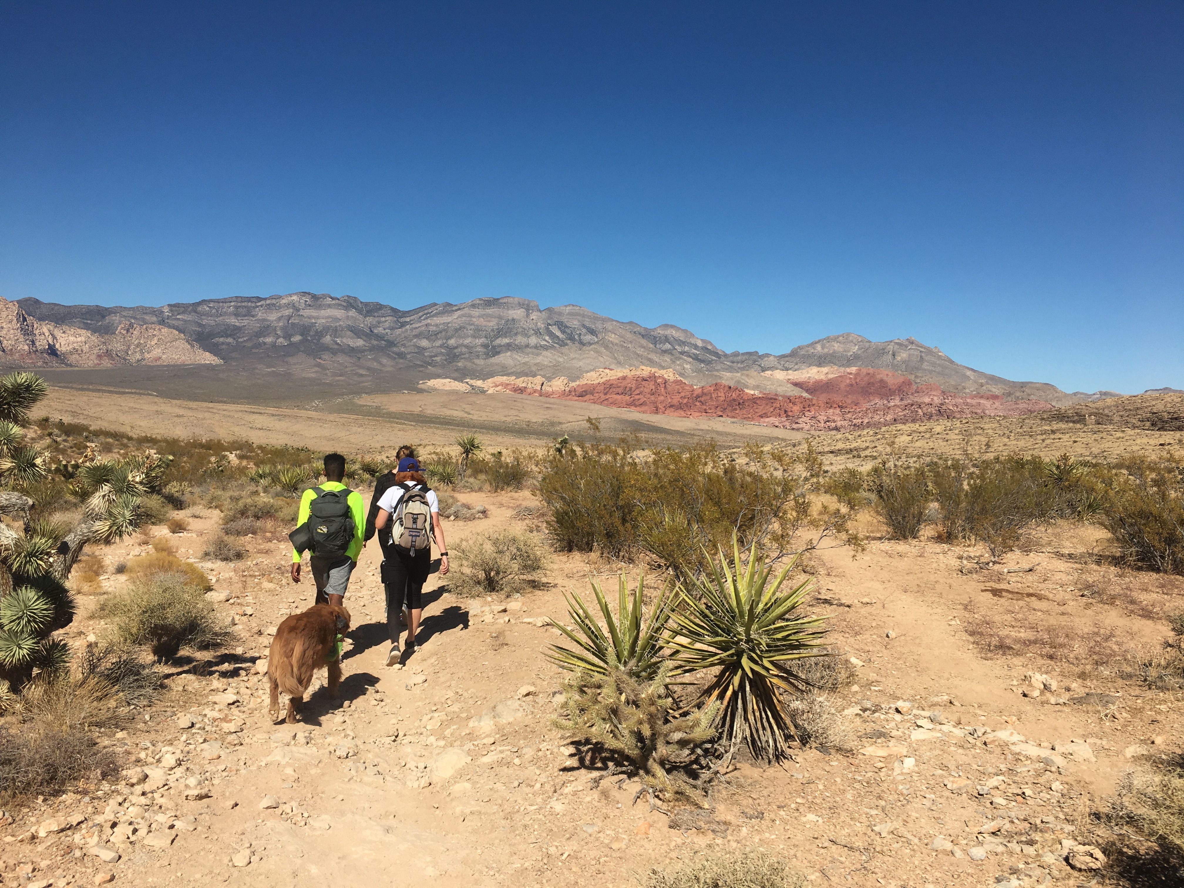 Educational Teen Council Hike