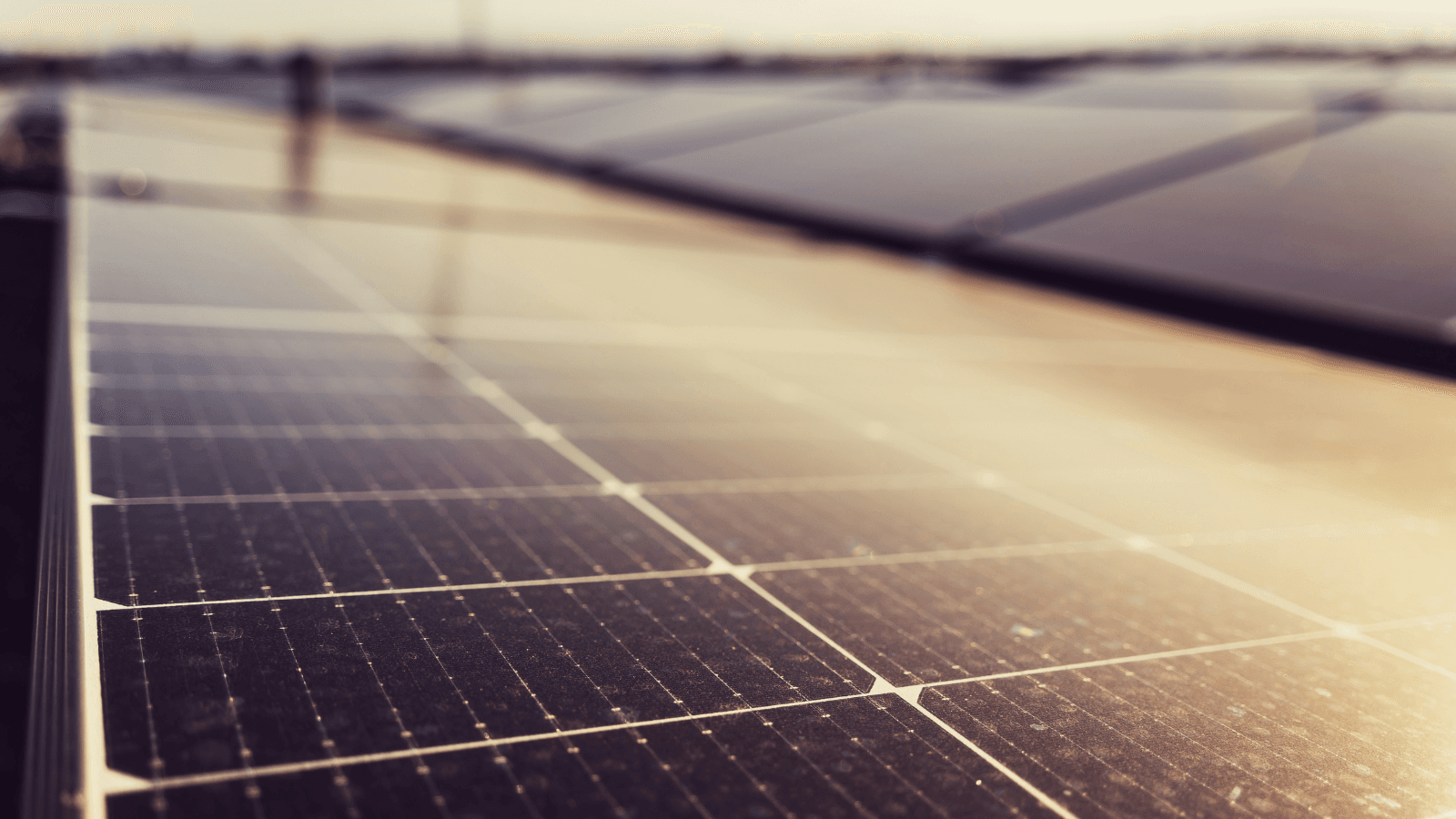 Photo of rooftop solar panels
