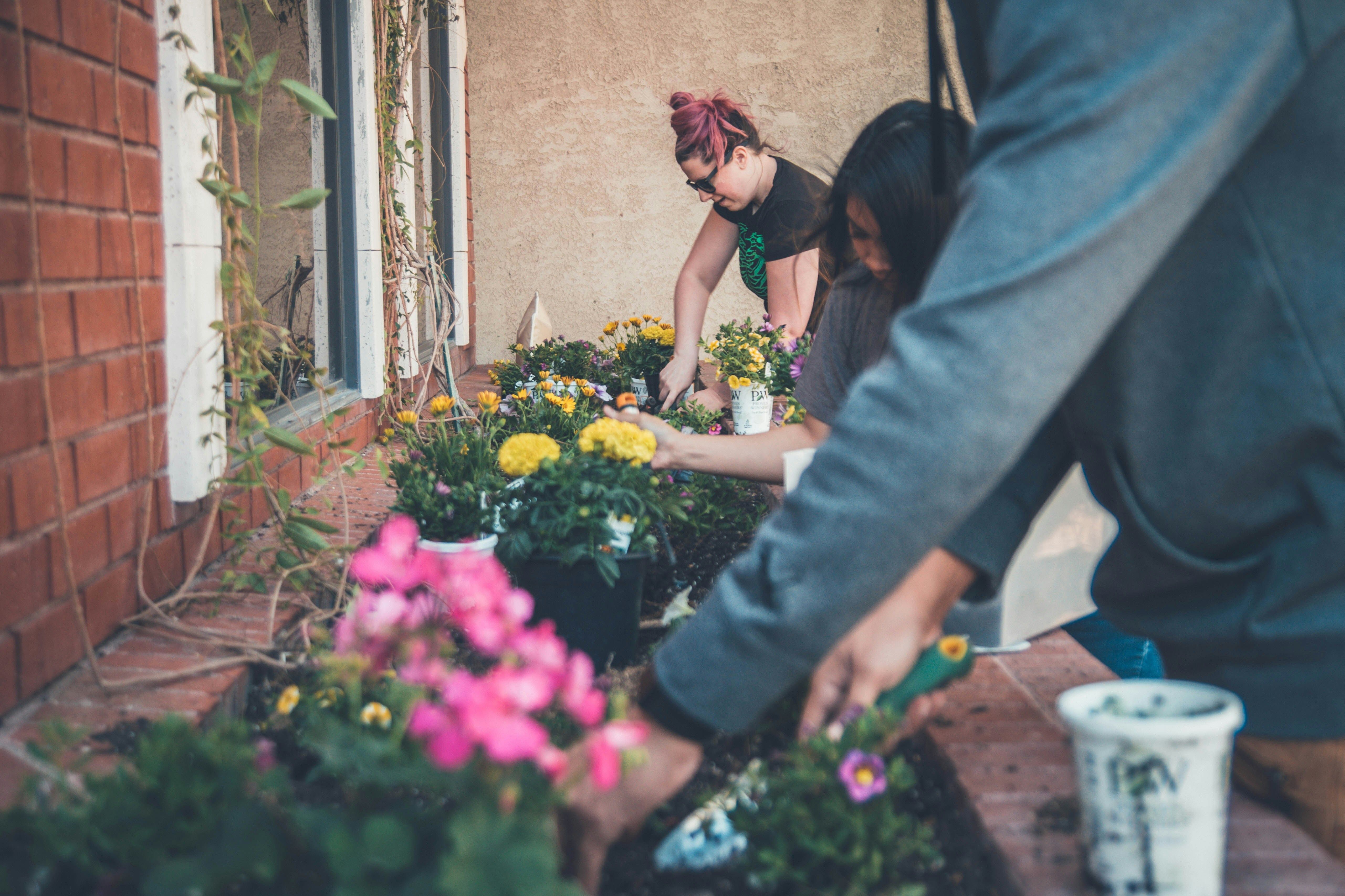 People gardening