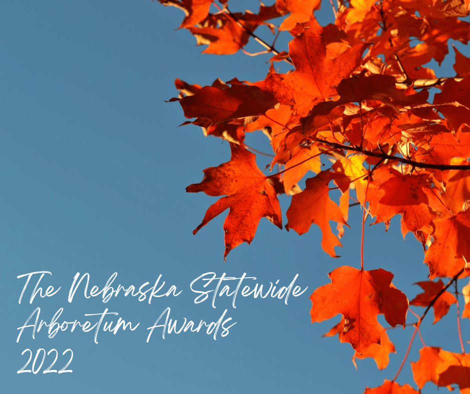 Fall leaves against a blue sky, with the text: The Nebraska Statewide Arboretum Awards 2022