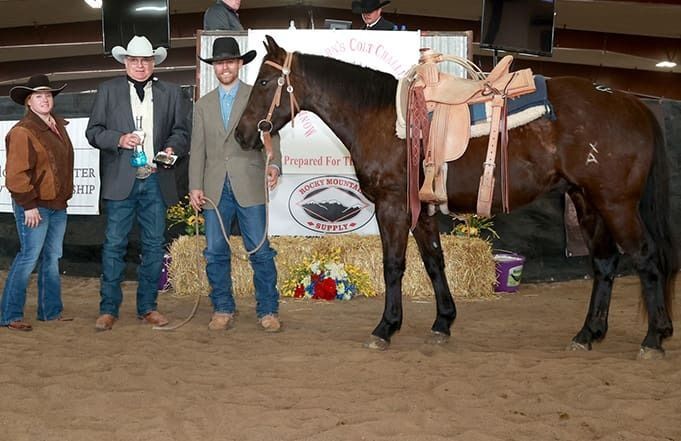 2024 Colt Sale Raises Over $208,000 for Natural Horsemanship Program