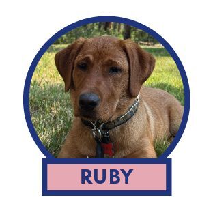 Ruby