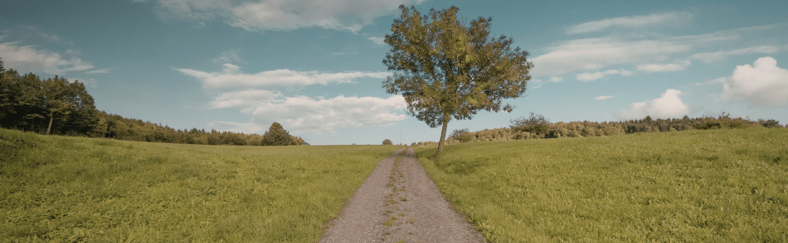 ISPS-US Book: A Way Out Of Madness