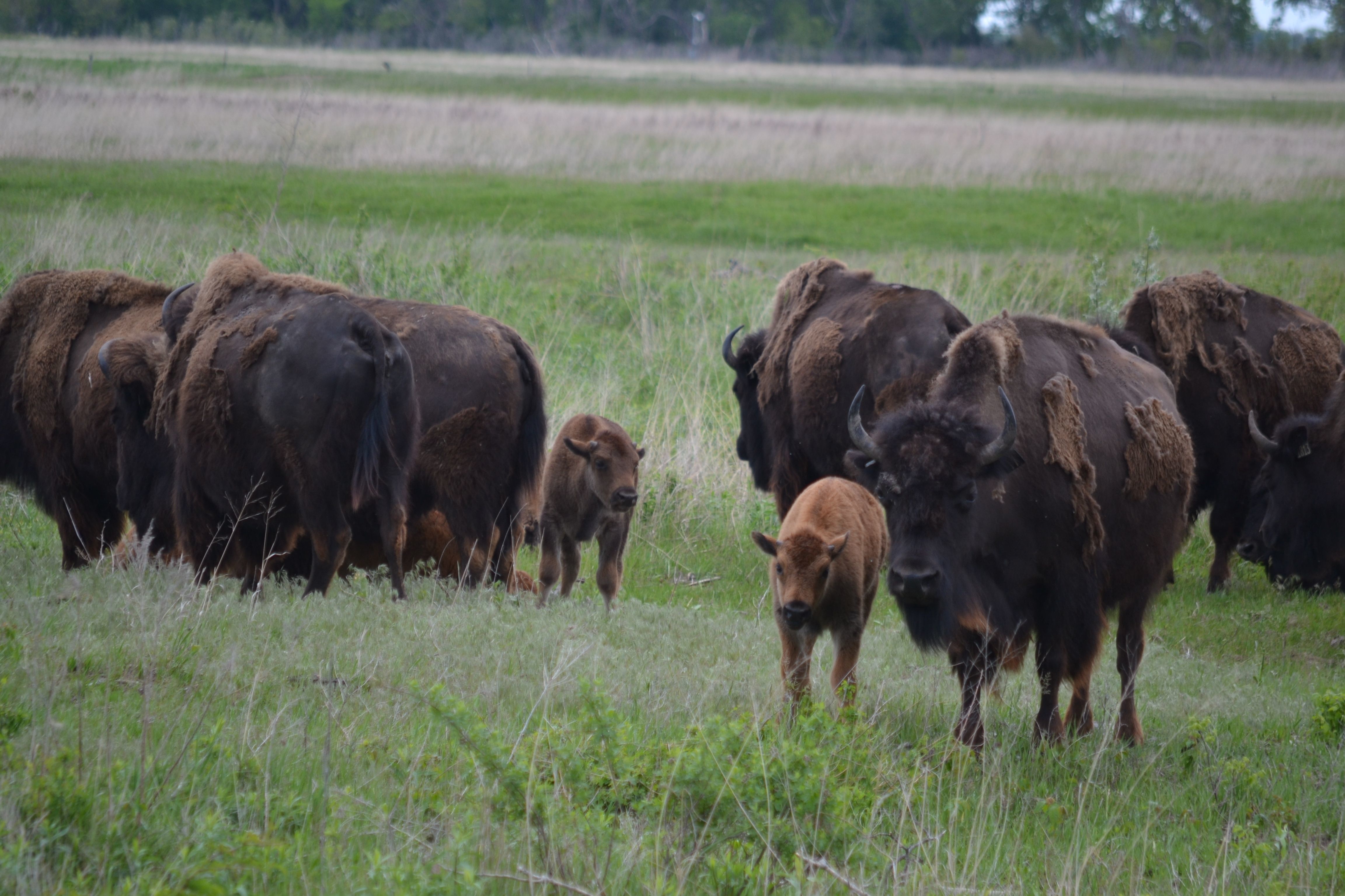 Reasons to Visit Visit Crane Trust