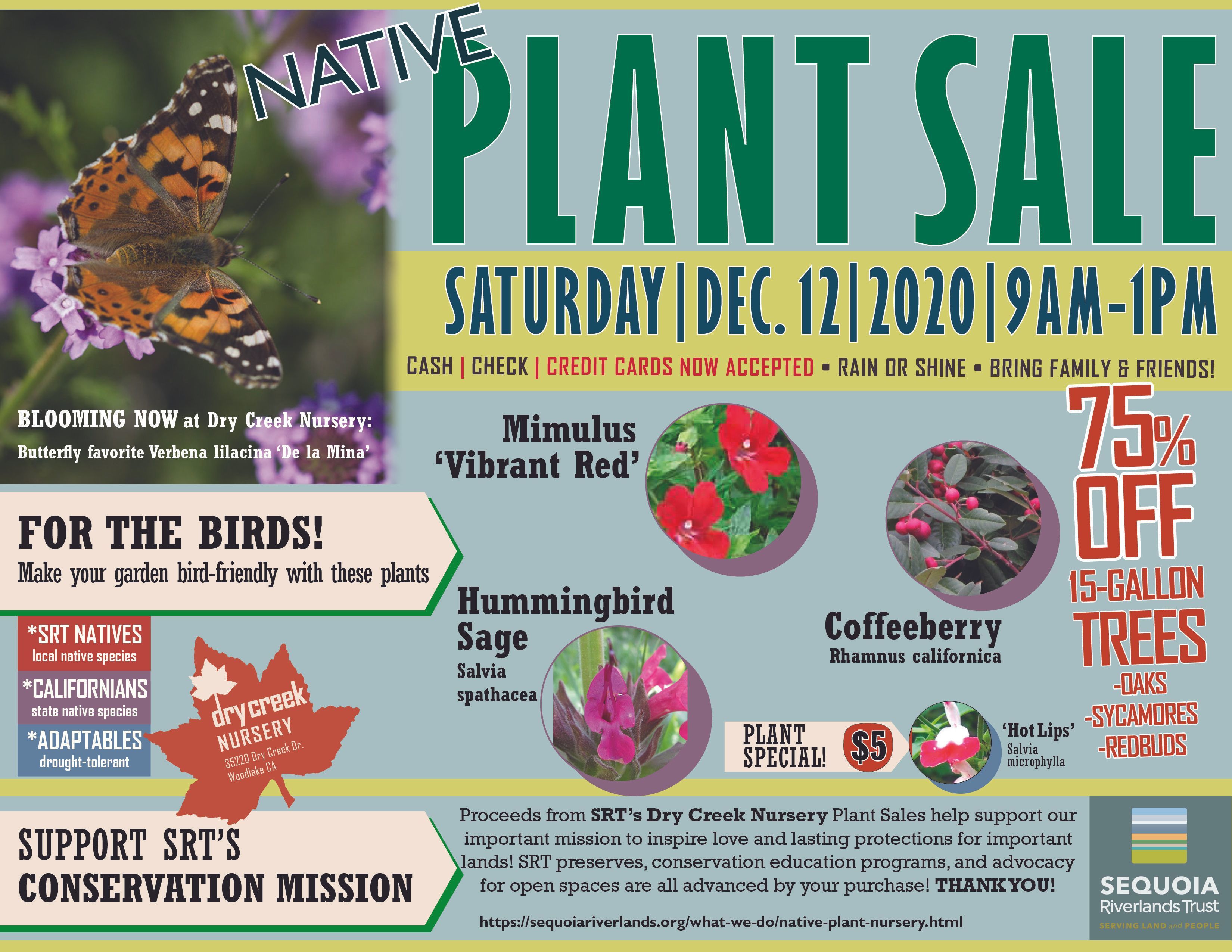 [CANCELLED DUE TO COVID] FINAL NATIVE PLANT SALE of the year at SRT Dry Creek 12/12