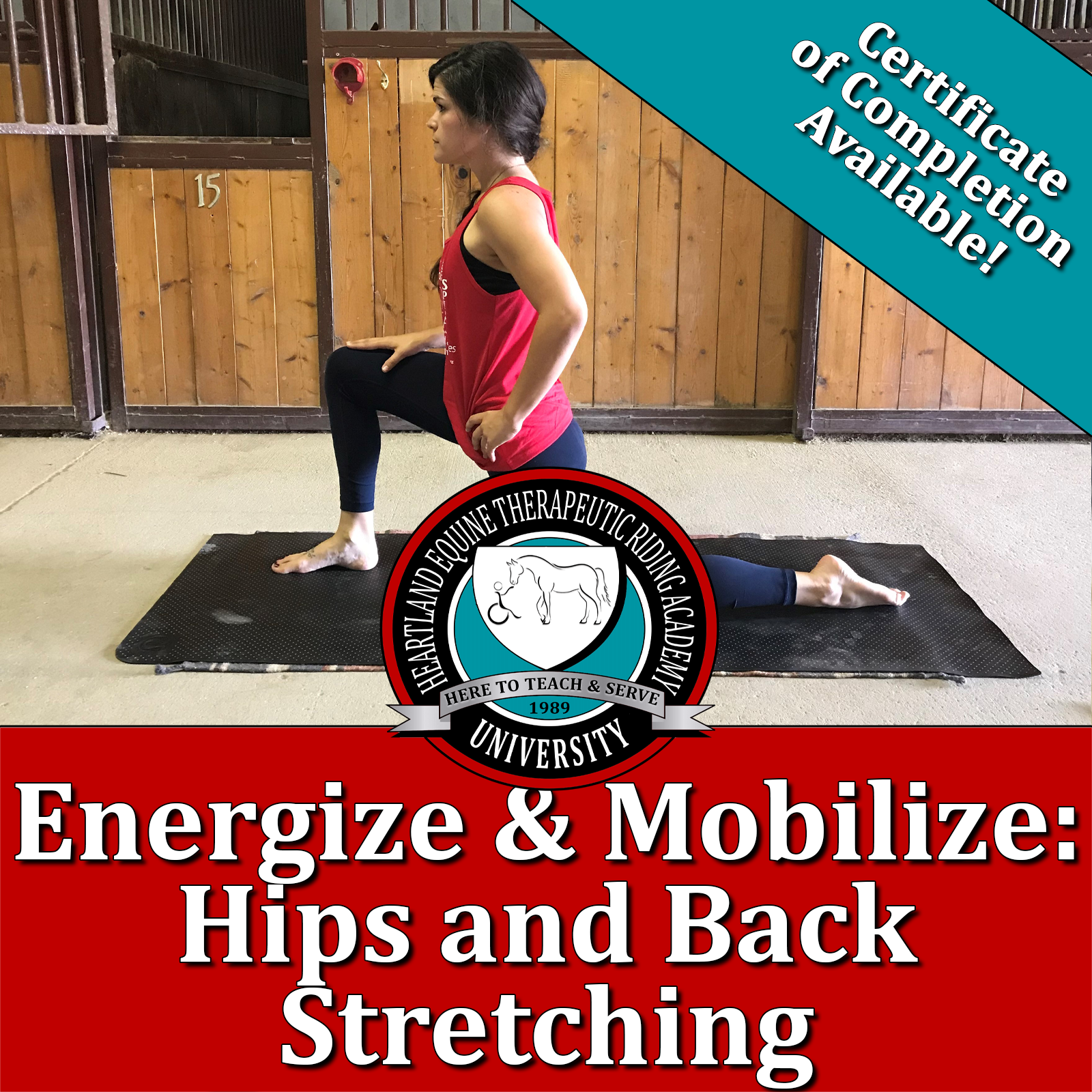 Energize & Mobilize - Hips & Back Stretching