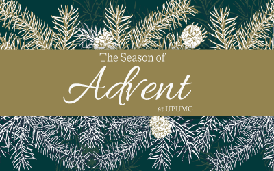 Christmas & Advent