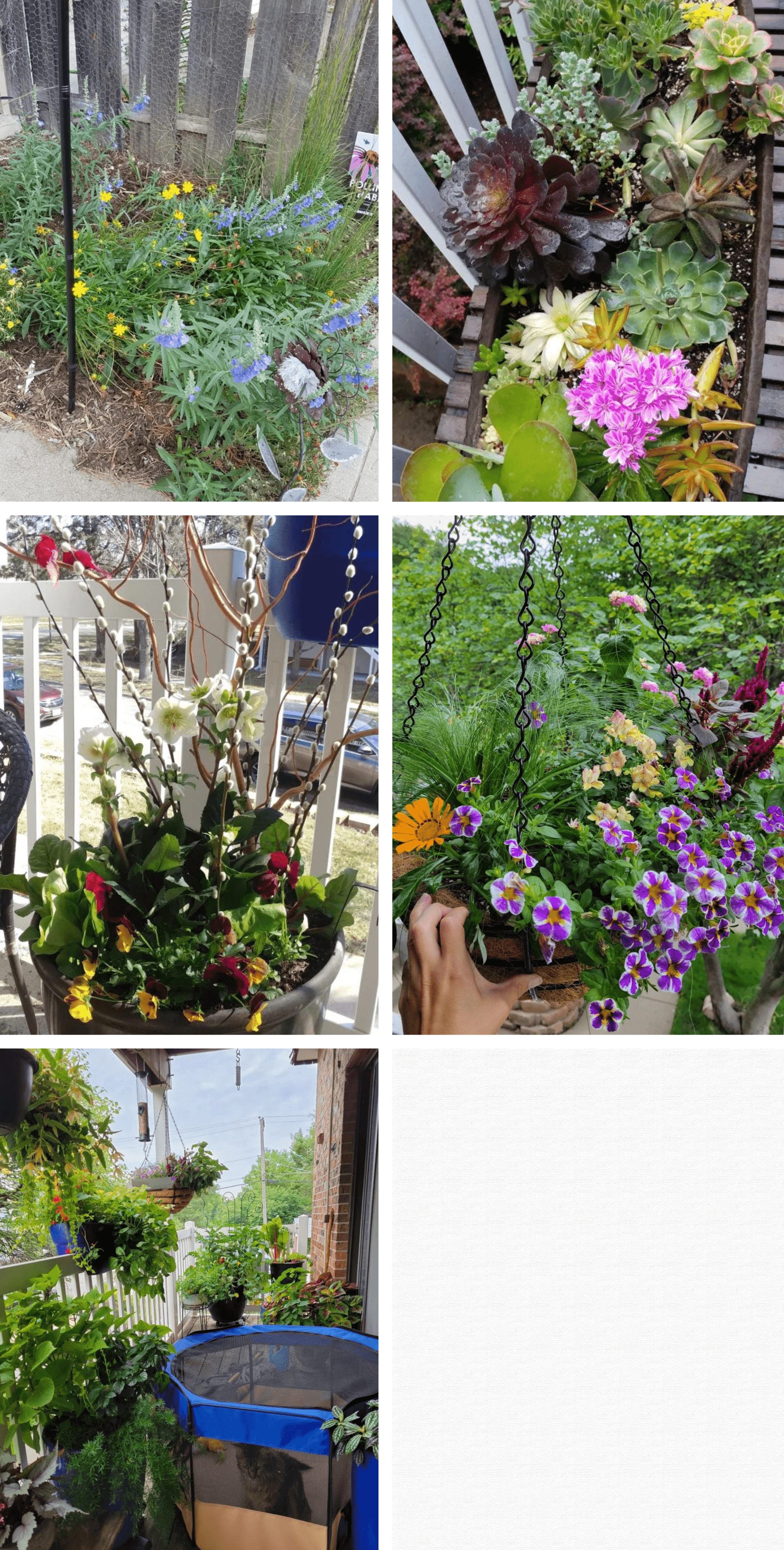 A Bloom Box mini planted outside a walk out apartment and other various plantings for apartment dwellers.