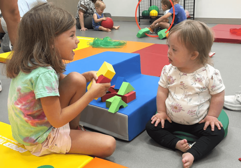 Expanding Access to Inclusive Play