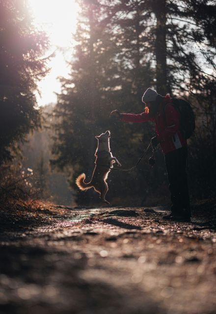 Person with a jumping dog on a forest trail
