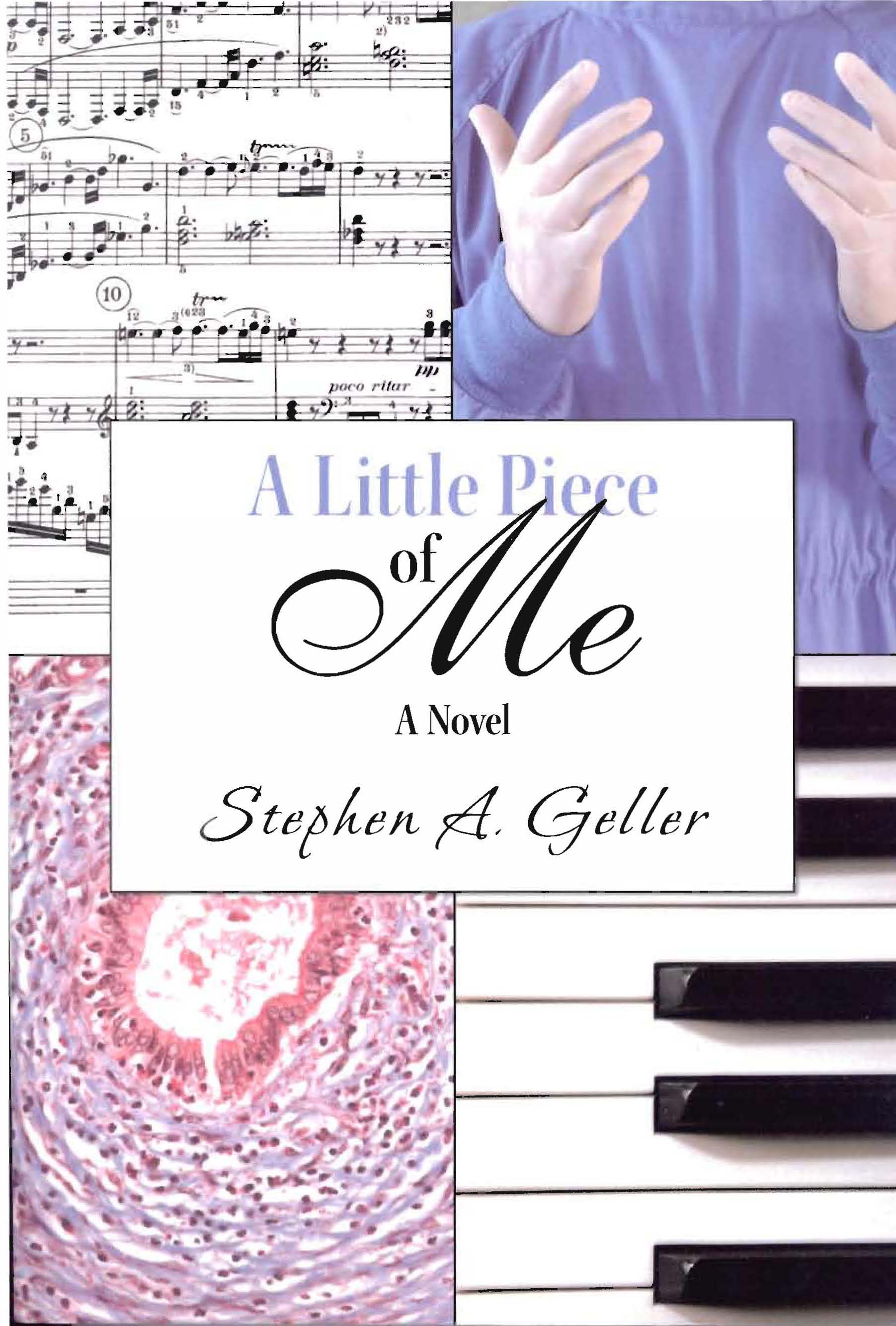 STEPHEN GELLER, CLASS OF 1964, PUBLISHES FIRST NOVEL