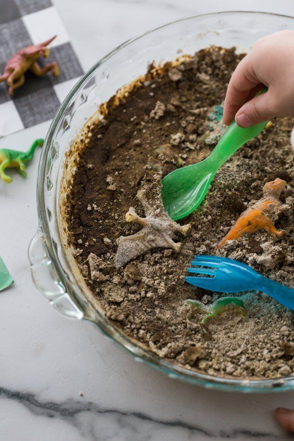  FOSSILS FOR KIDS: GO ON A DINO DIG!